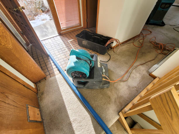 Best Water damage contractors near me  in Skidmore, TX