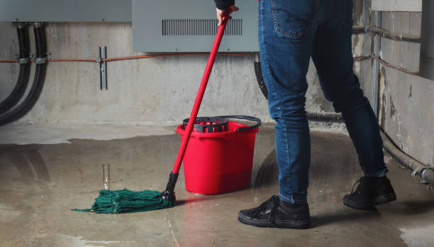 Best Fire Damage Restoration  in Skidmore, TX