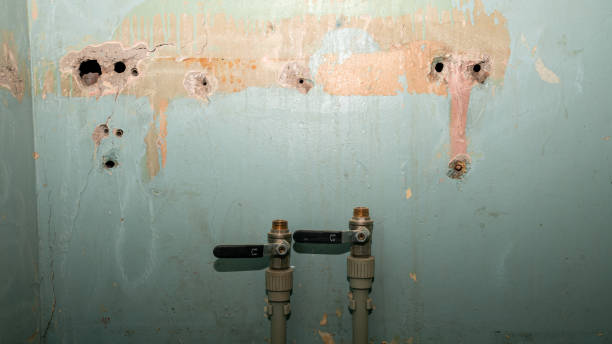 Best Mold removal after water damage  in Skidmore, TX