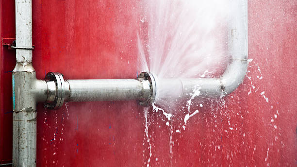 Best Flood restoration services  in Skidmore, TX