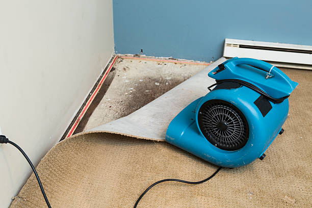 Trusted Skidmore, TX Water damage restoration Experts
